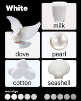 Pegasus Early Learning Colours - Board Book