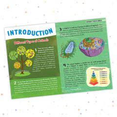 Pegasus Animals - 500 Facts for Kids