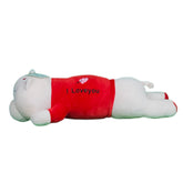 Play Hour Bogo Bear Pillow Plush Soft Toy with I Love You Text for Ages 5 Years and Up - Red, 60cm