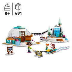 LEGO Friends Igloo Holiday Adventure Building Kit For Ages 8+