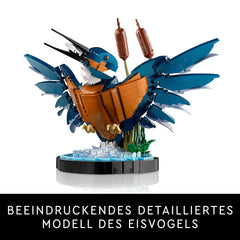 LEGO Icons Kingfisher Bird Building Kit for Ages 18+