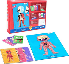 Bloomingo The Human Body Puzzles for Kids | My Human Body