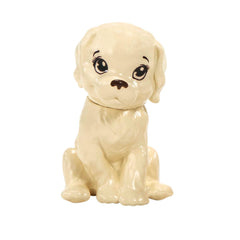 Barbie 12 Inch Photographer Petite Brunette Doll with Camera Accessory for Ages 3+