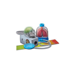 4M Kidz Labs - Human Organs