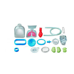 4M Kidz Labs - Human Organs