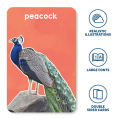 Skillmatics Animals & Their Babies - 3 in 1 Educational Flash Cards for Ages 2+ - FunCorp India