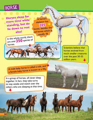 Dreamland 365 Facts on Animals and Birds - A Reference Book For Kids (English)