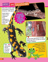 Dreamland 365 Facts on Animals and Birds - A Reference Book For Kids (English)