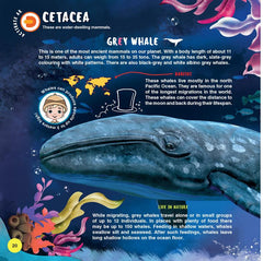 Dreamland Animals - Wow Encyclopedia in Augmented Reality - A Reference Book For Kids (English)