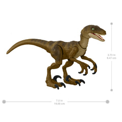 Jurassic World Hammond Collection Velociraptor Dinosaur Figure for Ages 8+ - FunCorp India