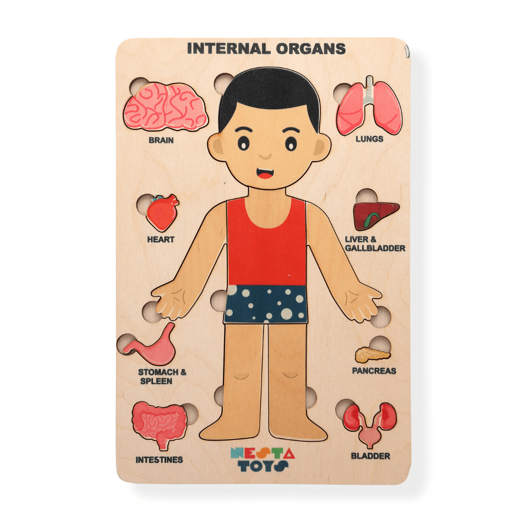 Nesta Toys Wooden Human Body Anatomy Puzzle 14 Pcs - Montessori Puzzle for Preschoolers and Kids Ages 3+ - FunCorp India