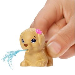 Barbie Dreamhouse Adventures Swim ‘N Dive Swimmer Doll and Accessories