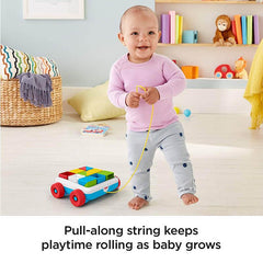 Fisher Price Pull-Along Activity Blocks