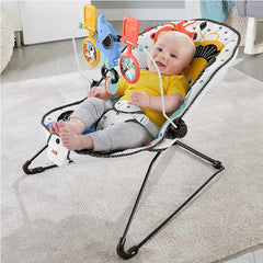 Fisher Price Signature Style Baby's Bouncer