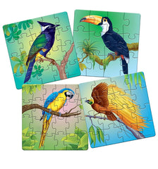 Frank Exotic Birds Puzzle For 4 Year Old Kids And Above