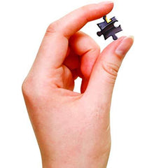 Frank KinkakuJi Puzzle