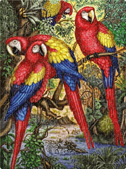 Frank Macaw Parrots 500 Pieces Jigsaw Puzzle for 10 Years and Above
