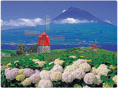 Frank Monte De Espalamaca Puzzle for 10 Year Old Kids and Above