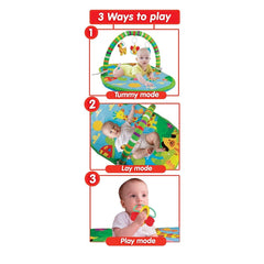 Funskool Giggles 3 In 1 Deluxe Playgym for Ages 0-3 Years