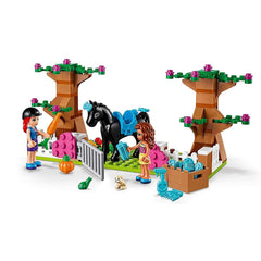 LEGO Friends Heartlake City Brick Box