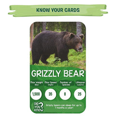 Skillmatics Rank & Roll Amazing Animals - Trump Card Board Game For Ages 8+