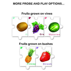 Toykraft Feast on Fruits - Educational Puzzle Games for Kids Ages 5 to 7 years