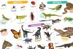 Pegasus Wild World Wonders: Animal Poster Book for 3+ Years Kids - Explore the Animal Kingdom in Vibrant Posters