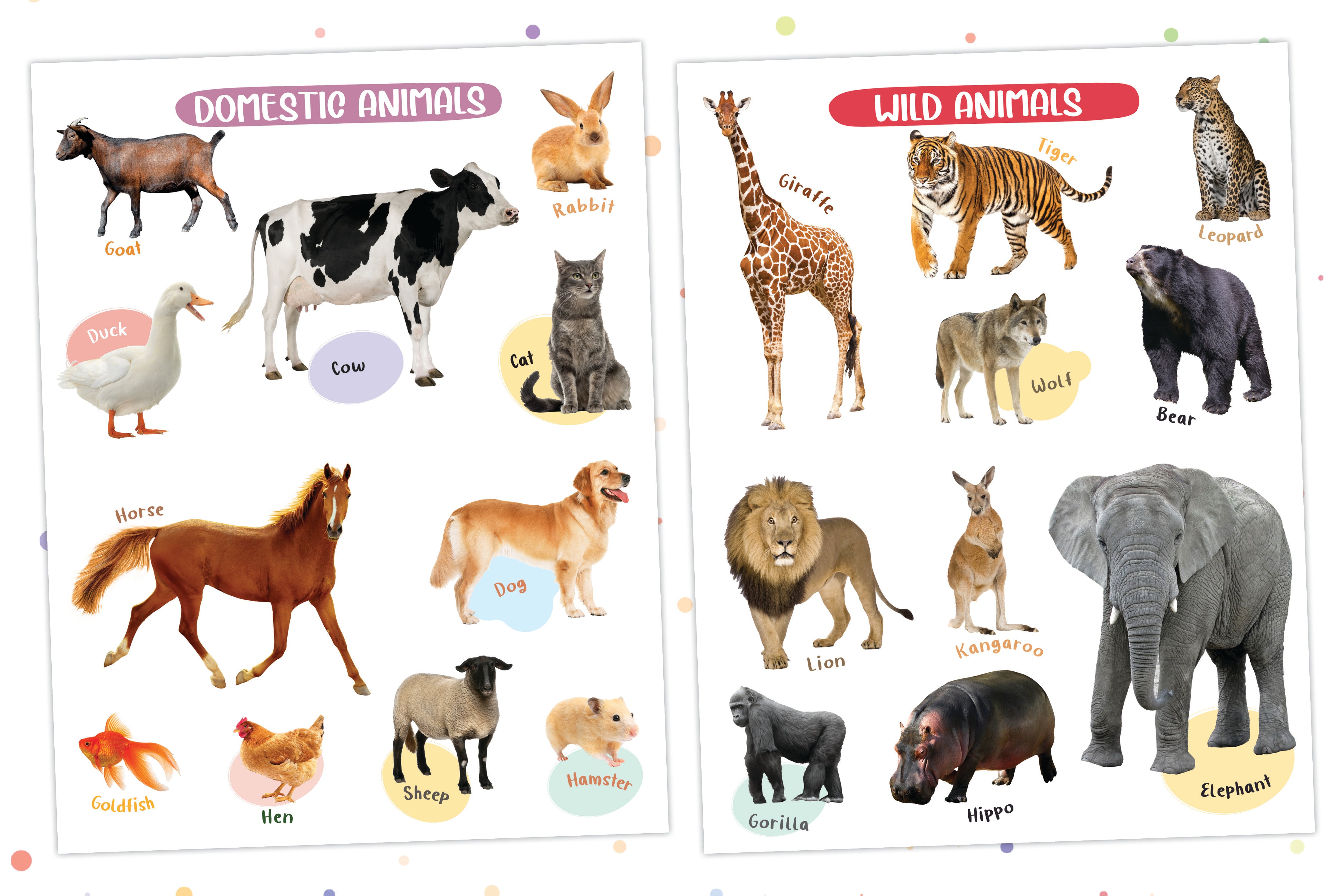 Pegasus Wild World Wonders: Animal Poster Book for 3+ Years Kids - Explore the Animal Kingdom in Vibrant Posters