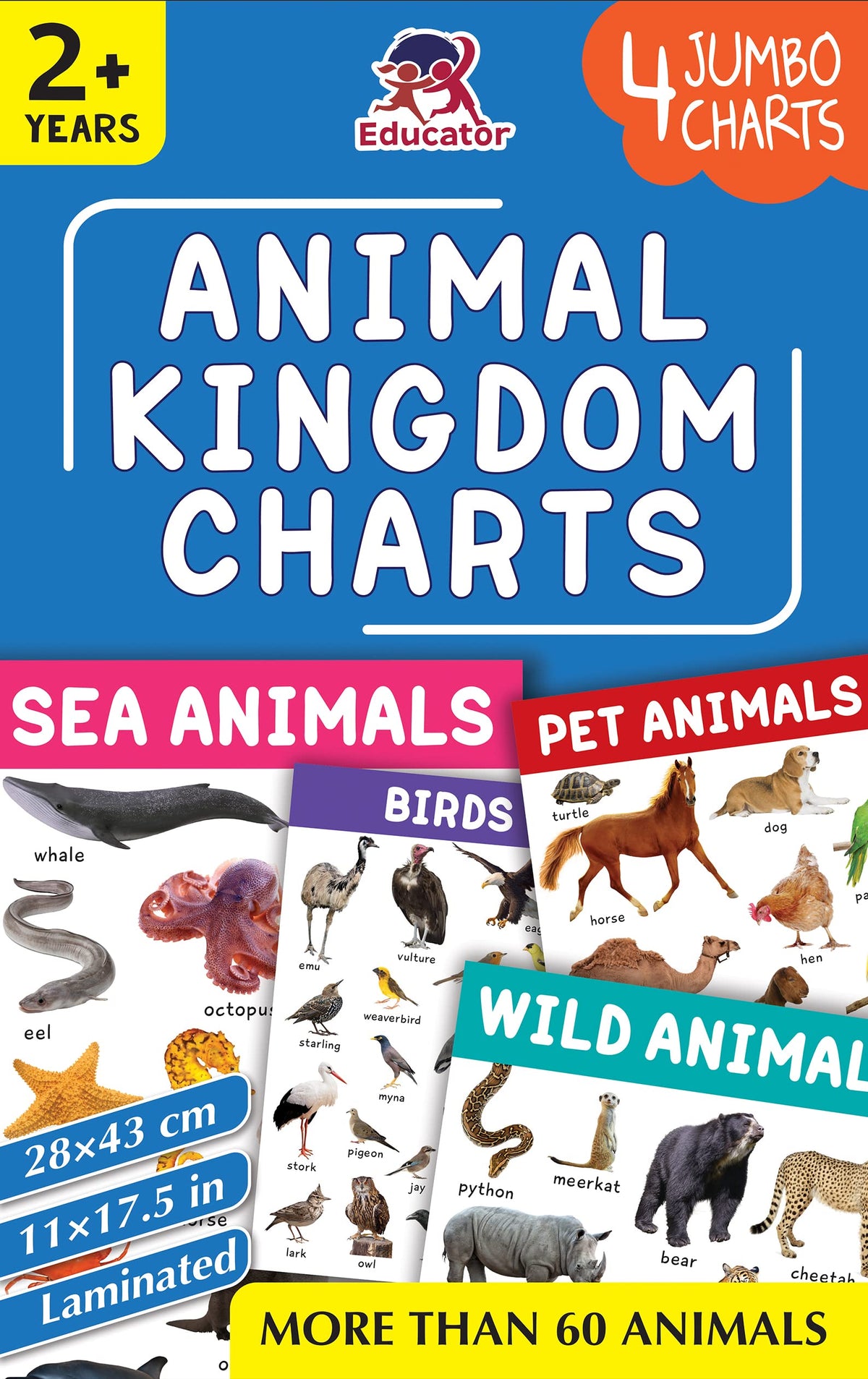 Pegasus Animal Kingdom Charts - 4 Jumbo Charts for Kids