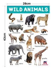 Pegasus Animal Kingdom Charts - 4 Jumbo Charts for Kids