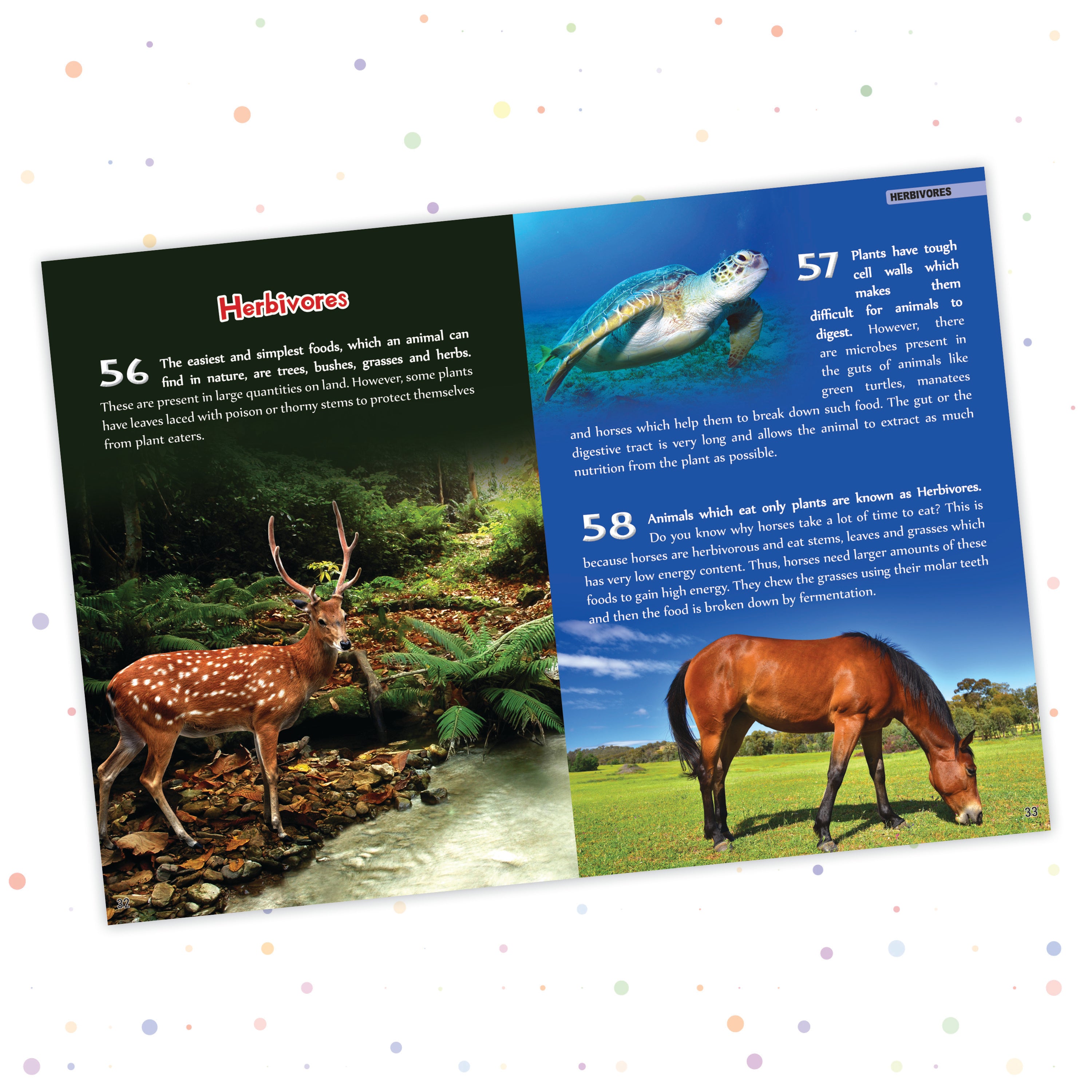 Pegasus Animals - 500 Facts for Kids