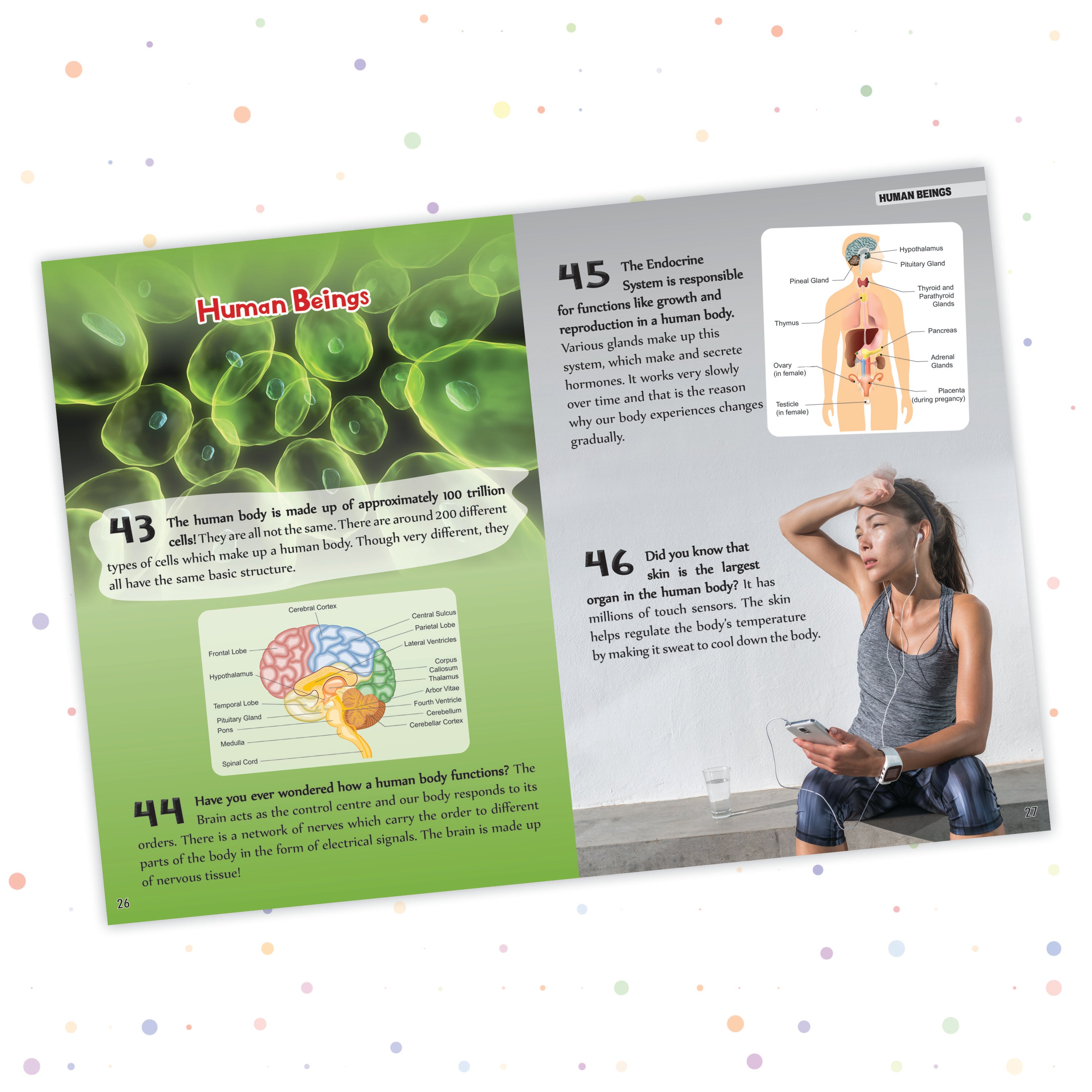 Pegasus Science - 500 Facts for Kids
