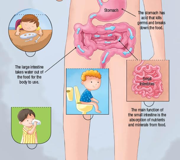 Booktopus Lift-the-Flap Learning Book - Inside Our Body Knowledge Book for Kids - Interactive Learning Books 6+