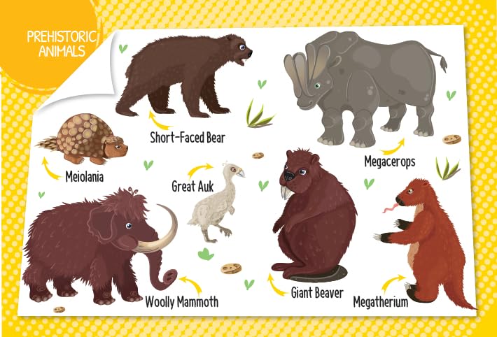 Booktopus Mini Board Book - My First 100 Animals - Early Learning Picture Books for Kids 4+