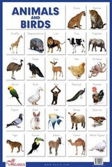 Pegasus Animals & Birds - Thick Laminated Educational Chart