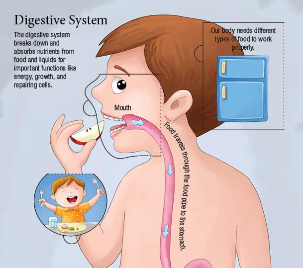 Booktopus Lift-the-Flap Learning Book - Inside Our Body Knowledge Book for Kids - Interactive Learning Books 6+