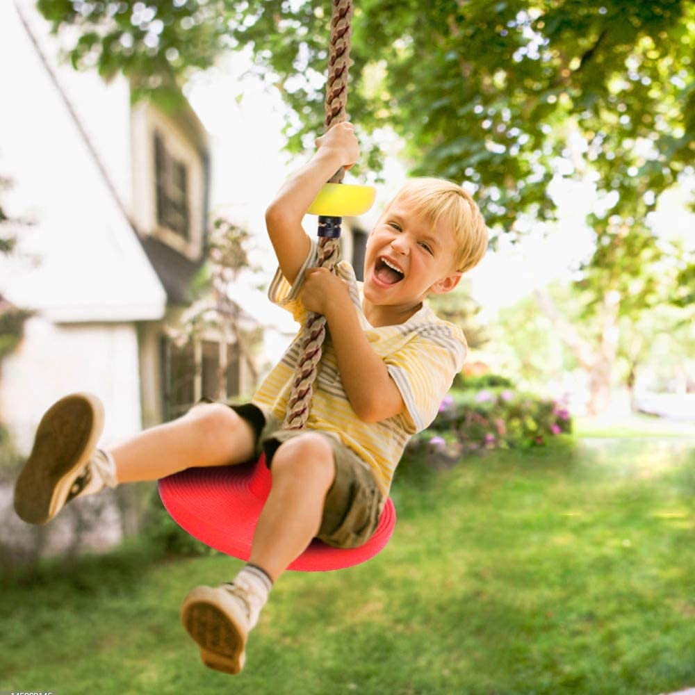 REZNOR Plastic Platforms Disc Tree Swing Seat Climbing Knot Rope With Carabiner Hook For Kids, Multicolour