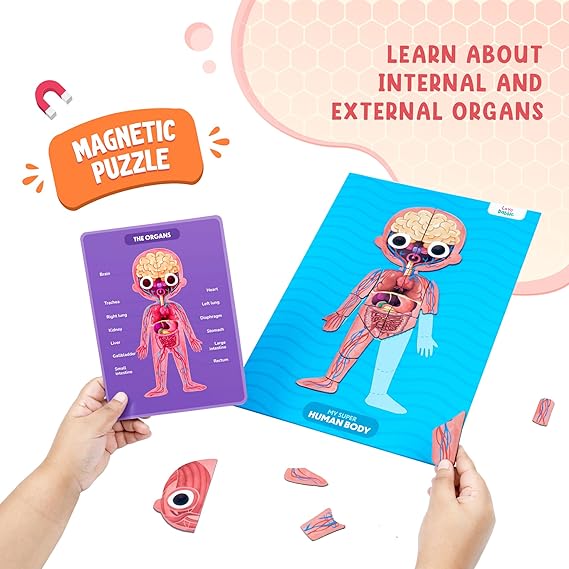 Bloomingo The Human Body Puzzles for Kids | My Human Body
