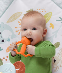 Fisher-Price Newborn Baby Toy Orange Bug Teether BPA-Free for Tummy Time & Travel Sensory Play for Infants Ages 3+ Months