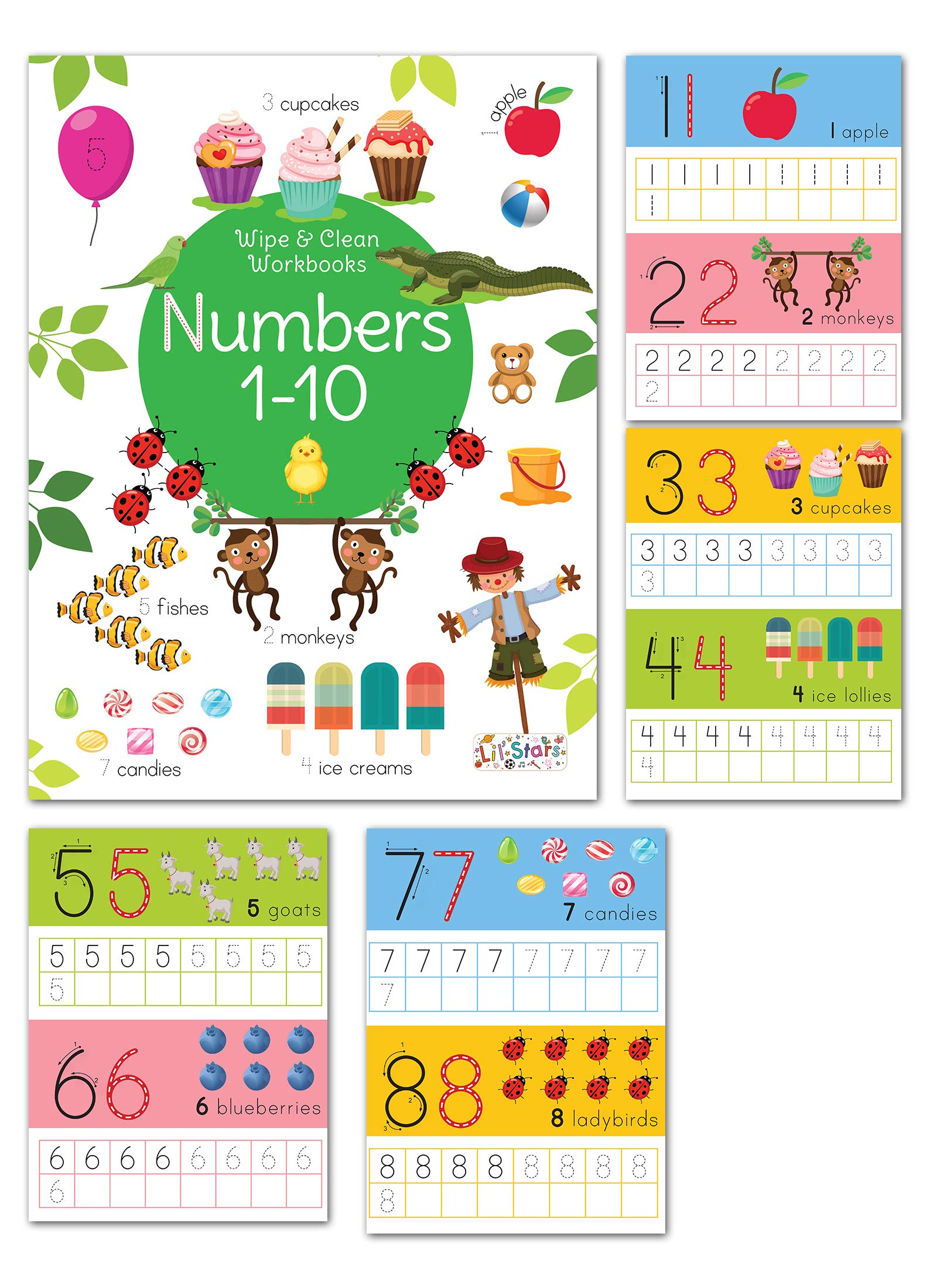 Pegasus Reusable Washable Wipe & Clean Books with Free Pens Set of 6 for Kids (Animal & Birds, Lowercase Alphabet, Numbers 1-10, Things that Move, Tracing & Pen Control and Uppercase Alphabet)