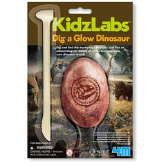 4M 6 Assorted Dig A Glow Dinosaur, Multi Color