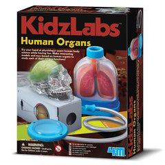 4M Kidz Labs - Human Organs