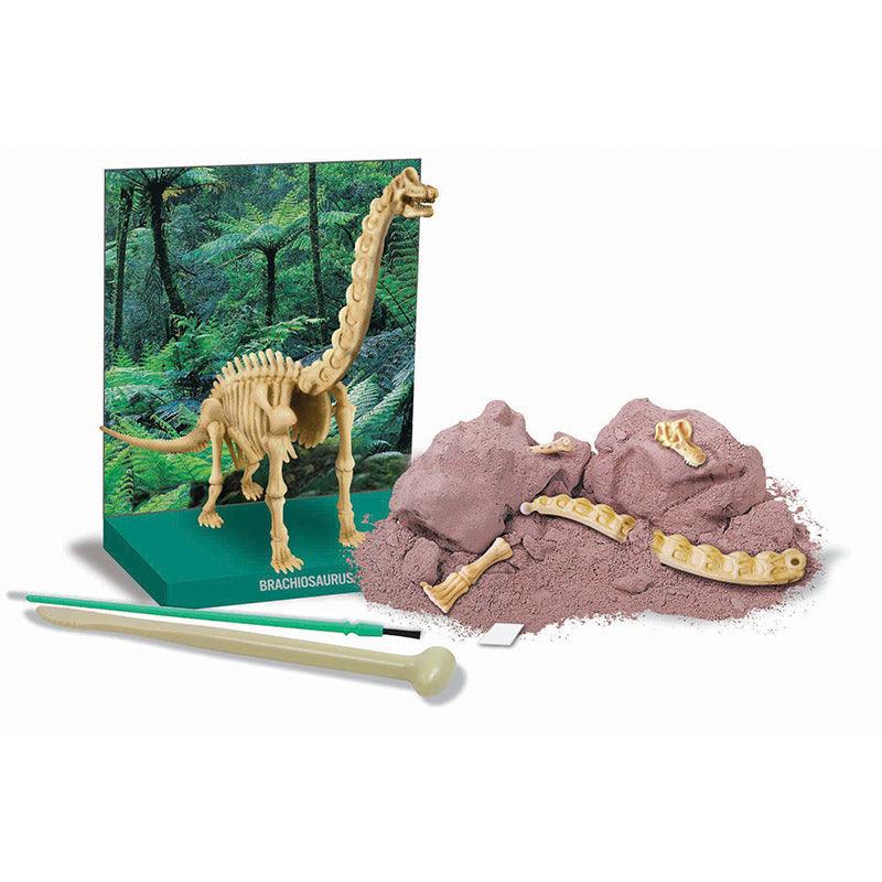 4M Kidz Labs - Skeleton Brachiosaurus