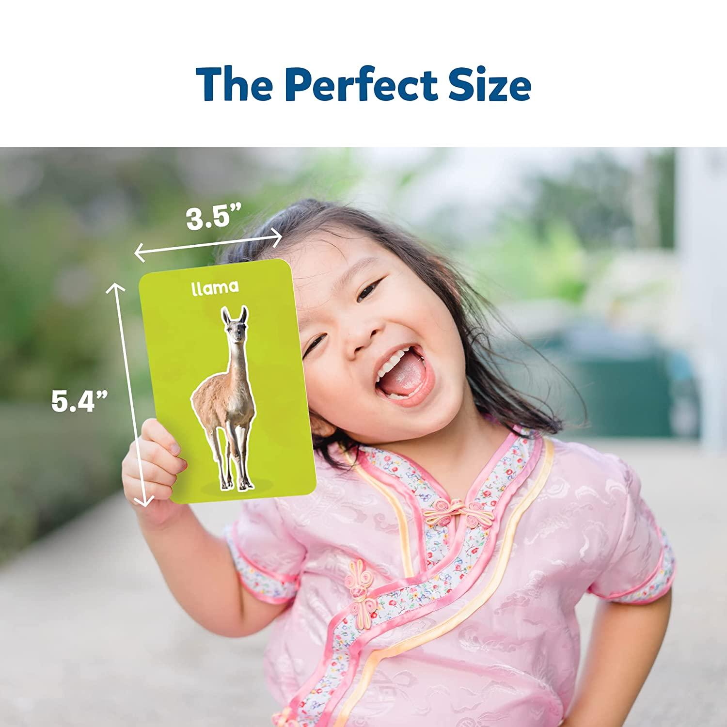 Skillmatics Animals & Their Babies - 3 in 1 Educational Flash Cards for Ages 2+ - FunCorp India