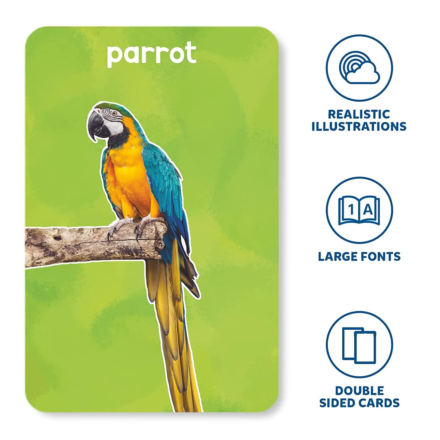 Skillmatics First 100 Animals - 3 in 1 Educational Flash Cards for Ages 2+ - FunCorp India