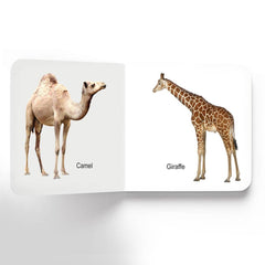 Dreamland Lovely Board Books Animals - An Early Learning Book For Kids (English)