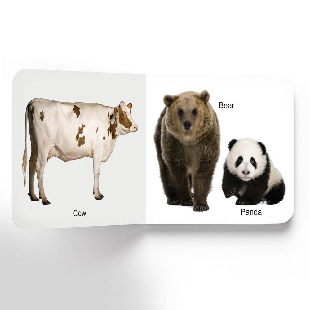 Dreamland Lovely Board Books Animals - An Early Learning Book For Kids (English)