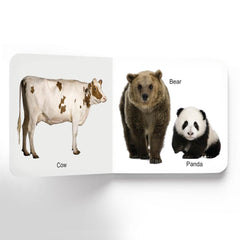 Dreamland Lovely Board Books Animals - An Early Learning Book For Kids (English)