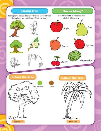 Dreamland 365 Science Activity - An Interactive & Activity Book For Kids (English)