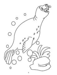 Dreamland Mega Colouring Book - A Drawing Painting & Colouring Book For Kids (English)